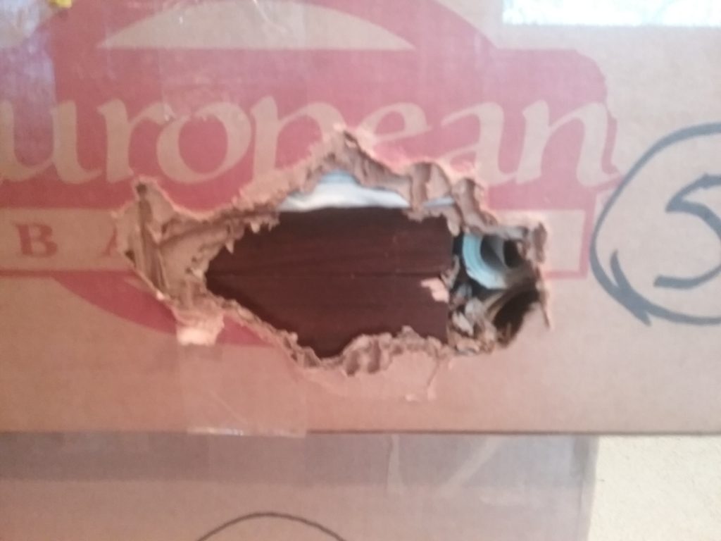 Moving Box with A hole made by a Rodent