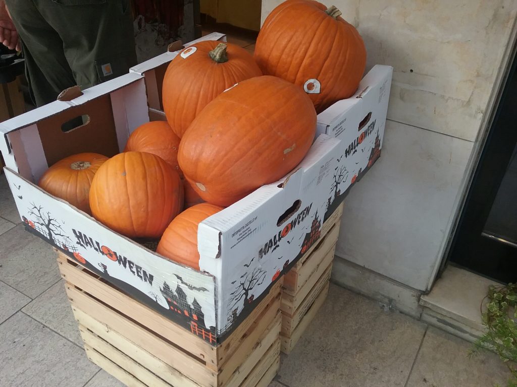 Pumpkins Lido Italy