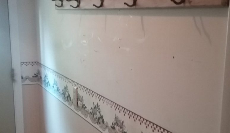 How to Remove Wallpaper Border and How Not To Remove Wallpaper!