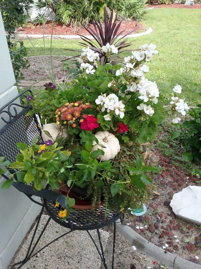 Late Summer Patio Pot transitioned to Early fall