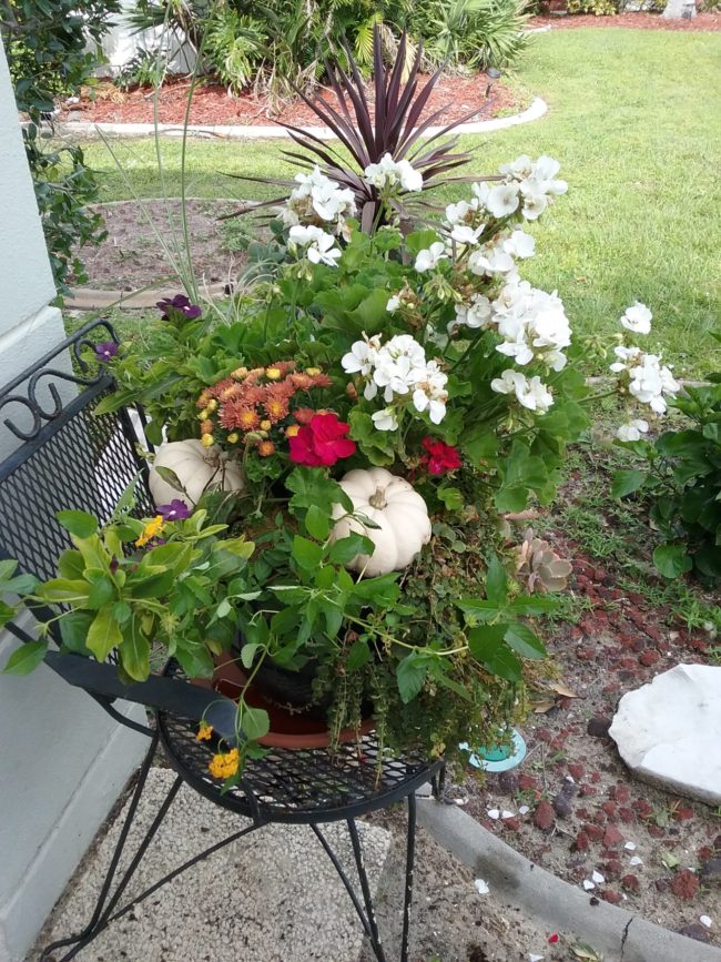 mixed planter with fall accents