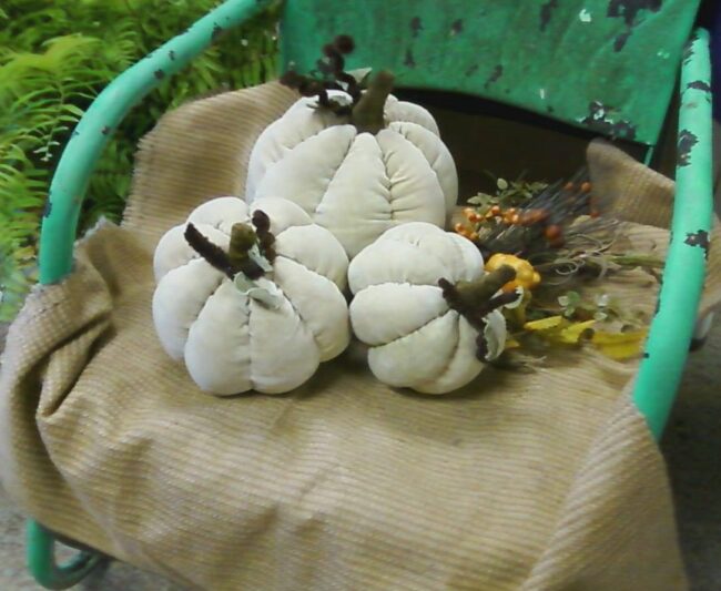 a trio of cream colored velvet pumpkin in an old metal chair