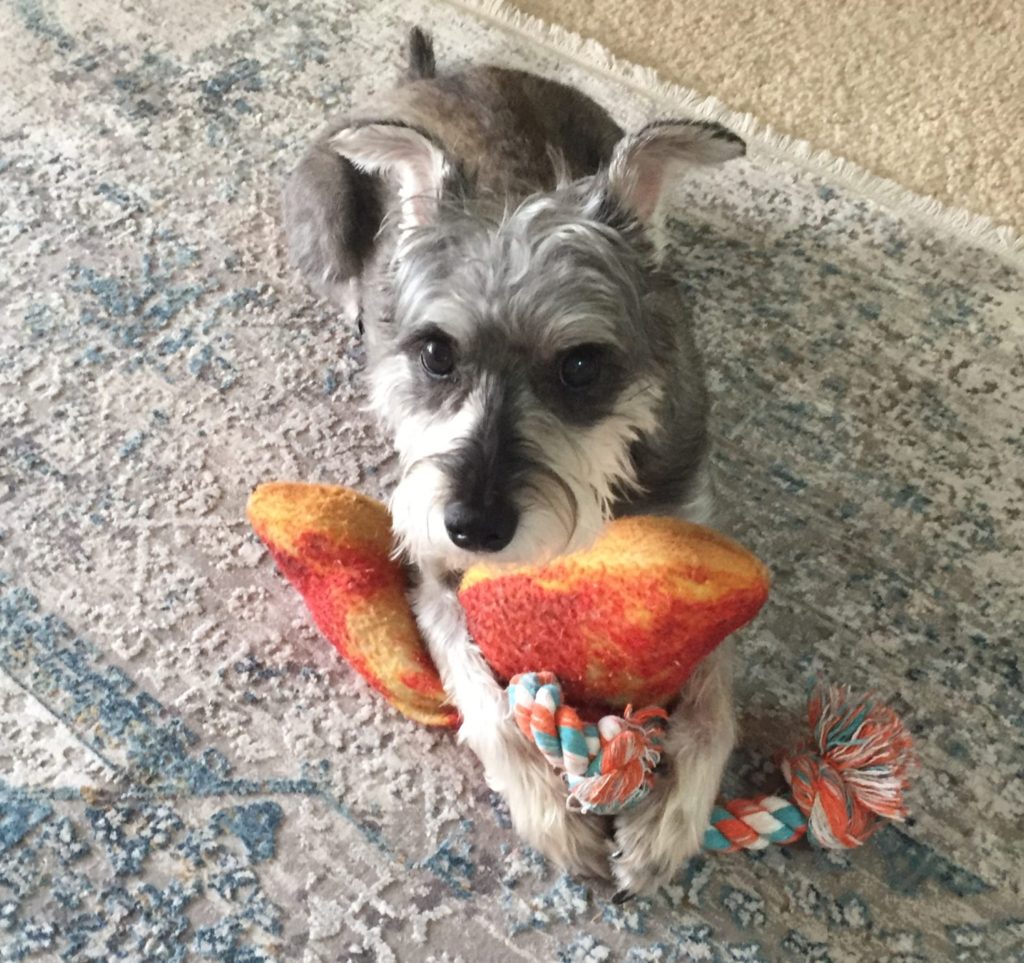 Gracie with her toys