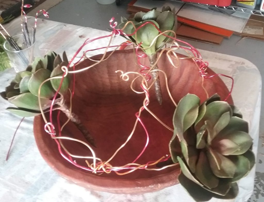 succulents in the armature