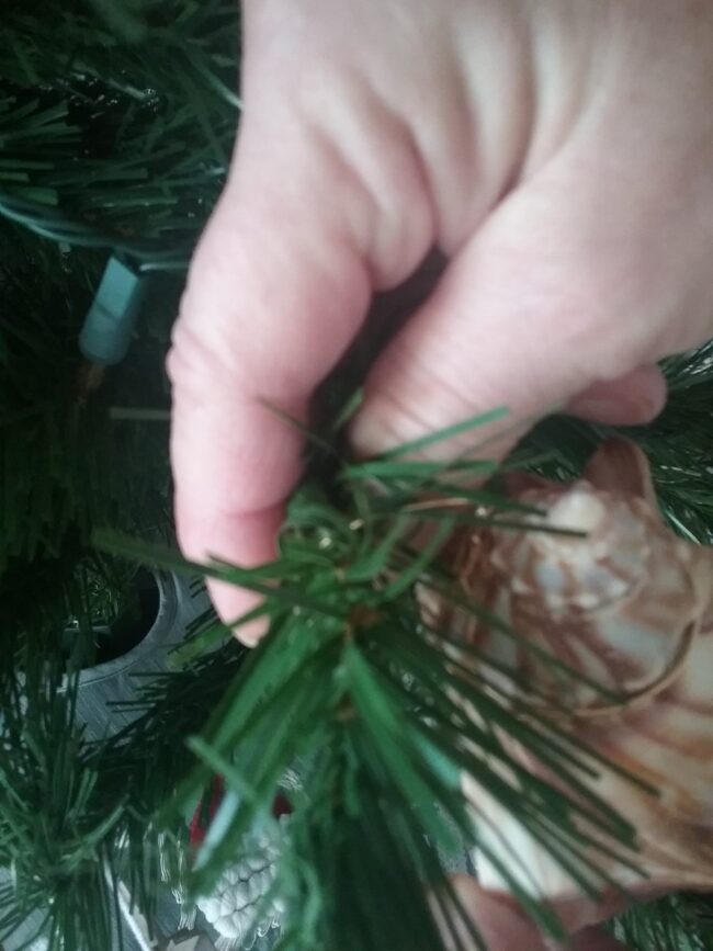 attaching the shell to the tree