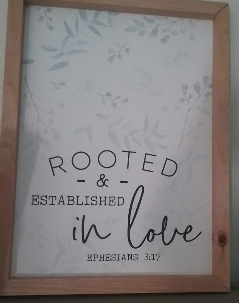 Rooted & established in Love