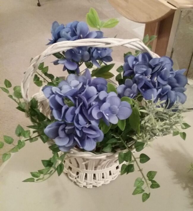 blue hydrangea in a basket