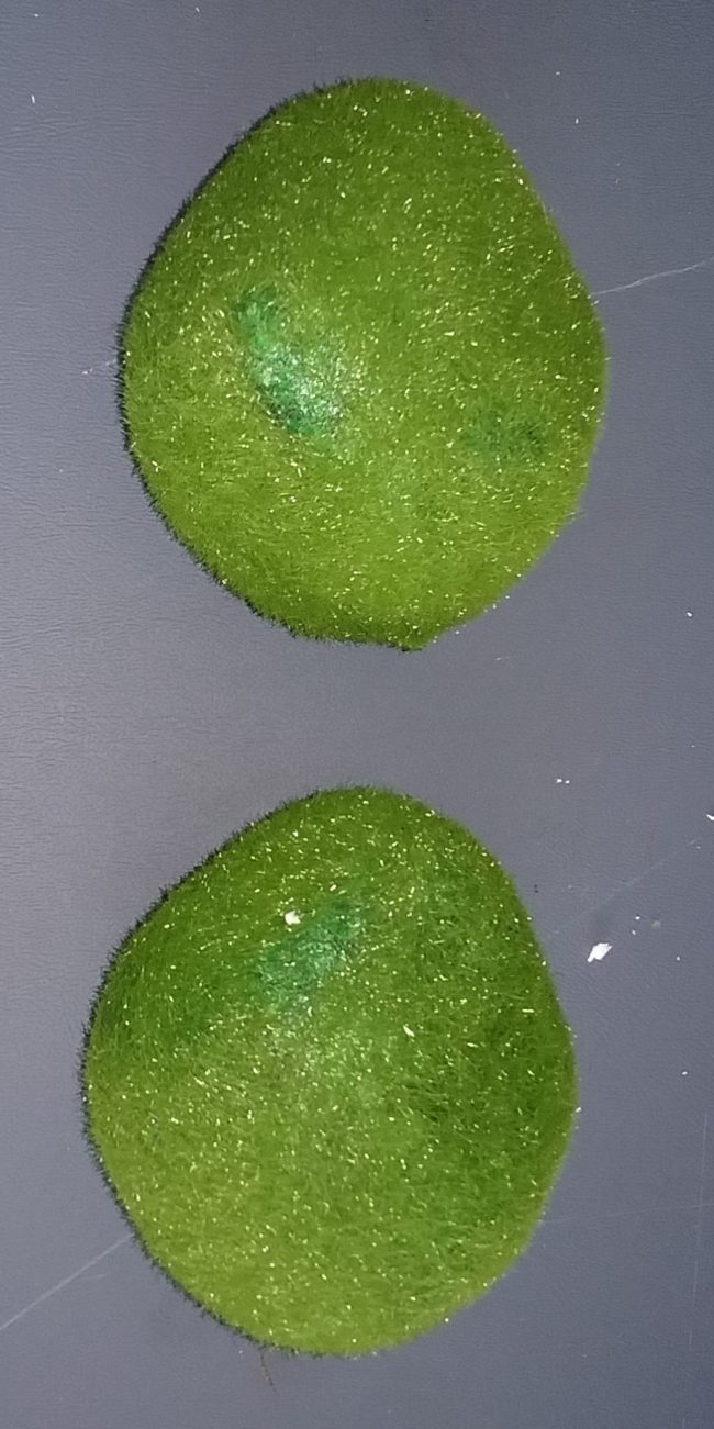 Styrofoam moss balls