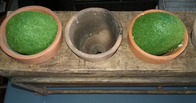 Moss balls in flower pot