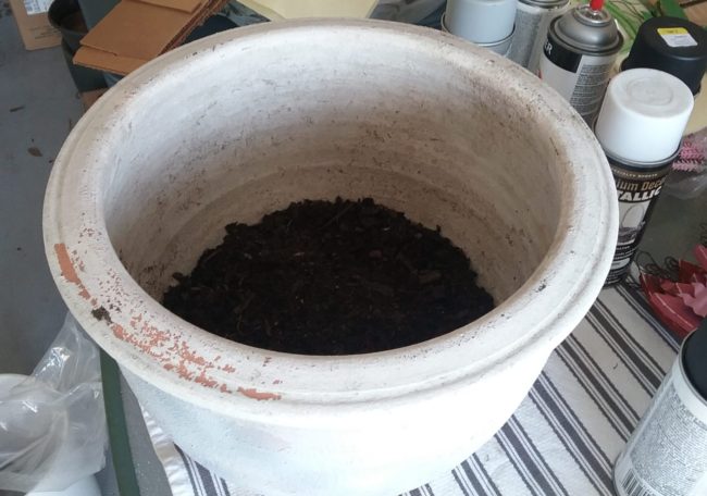 Terra Cotta Pot with soil