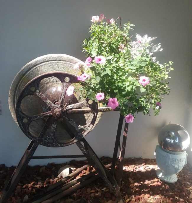 Early Spring Patio Pot in the Garden