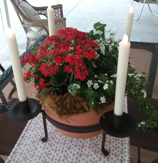 Red & White European Dish Garden with Candles