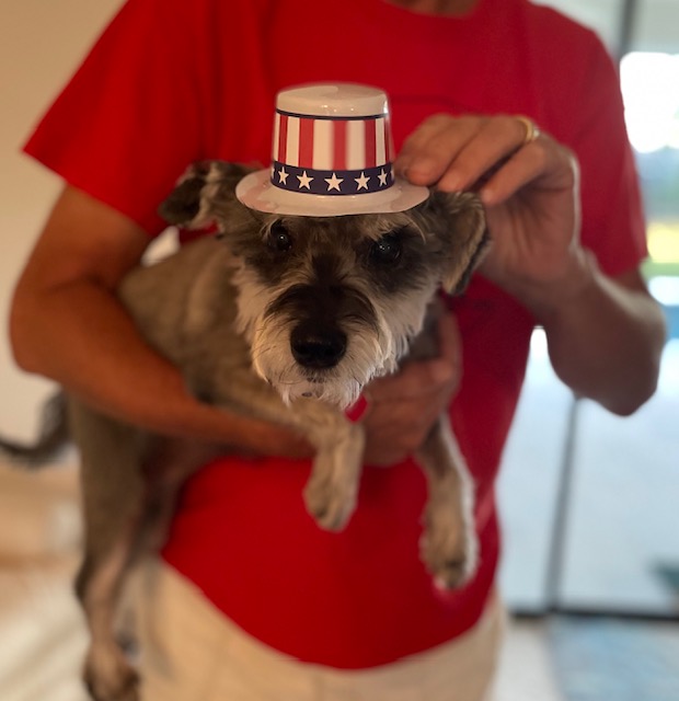 Gracie Mae Ready for the 4th