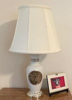 Bedroom lamp with new shade