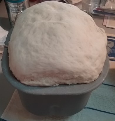 pizza dough made in a bread machine