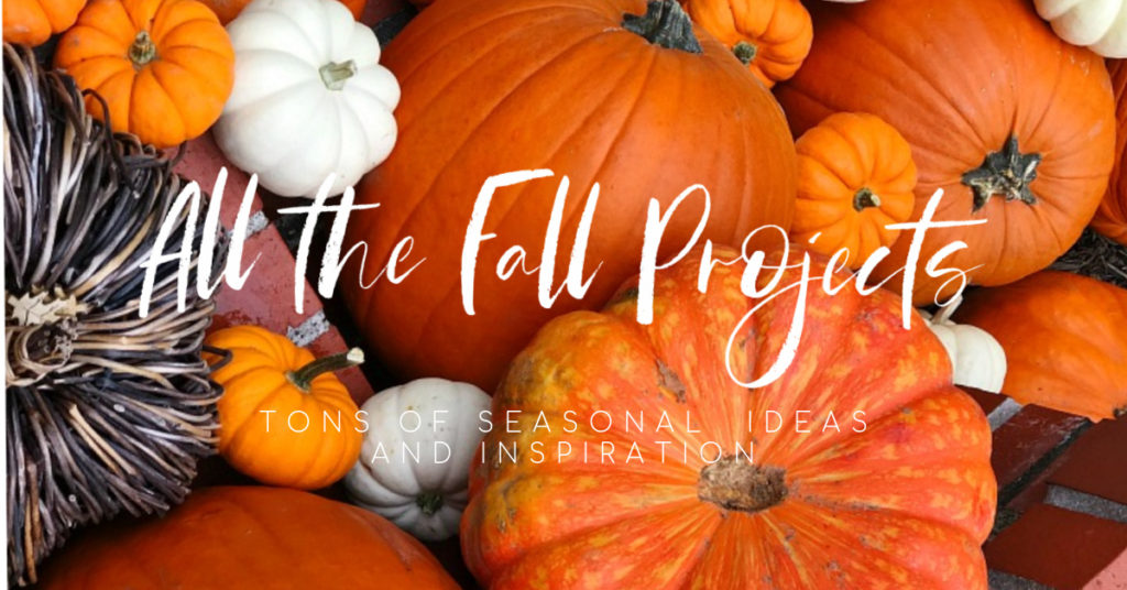 All the Fall Projects for Seasonal Inspiration