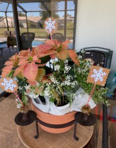 Gingerbread "Frost"ing poinsettia