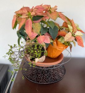 Gingerbread Wreath DIY - Kippi at Home