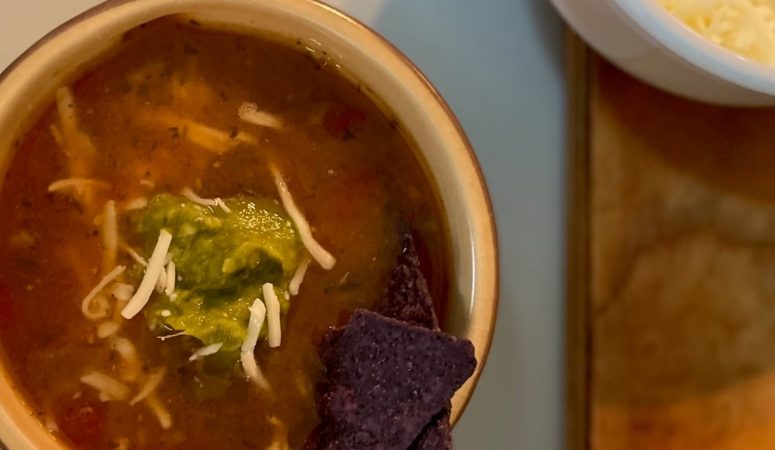 Mad Dash Mixes Tortilla Soup with Chicken
