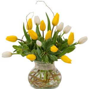 vase of tulips with curly willow