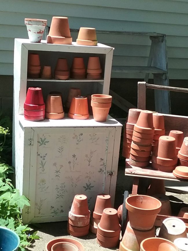 Garden display of terra cotta pots