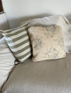 set of 2 pillows
