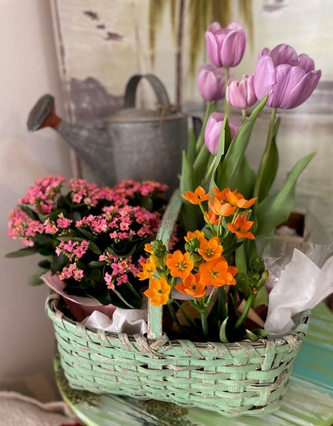 vintage basket with blooming plants