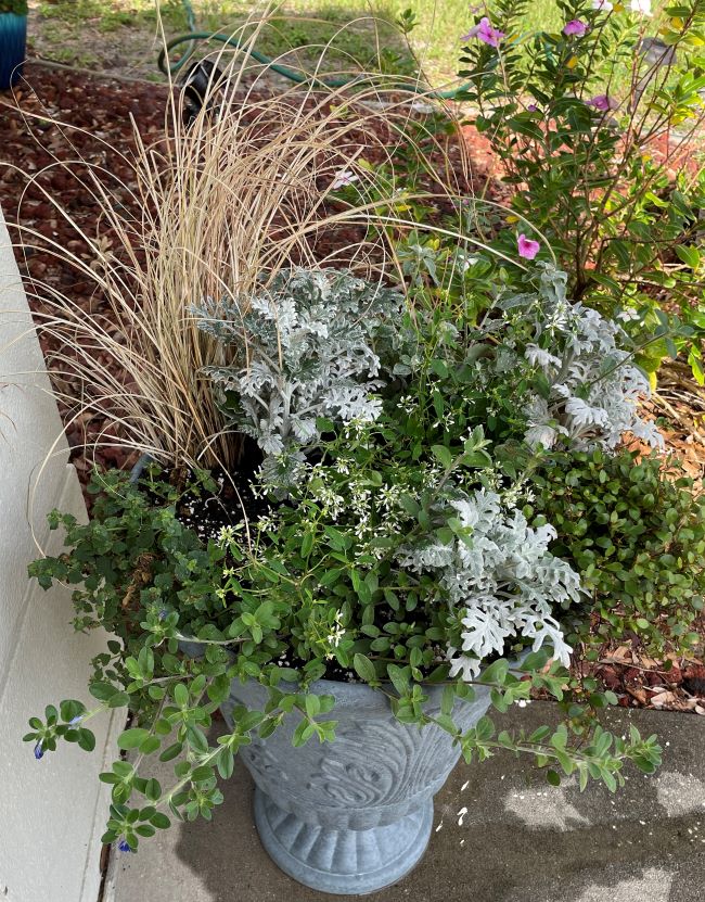 container garden in shades of blue & white