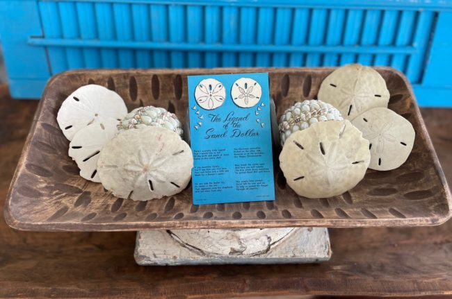 oblong dough bowl decorated with sand dollars