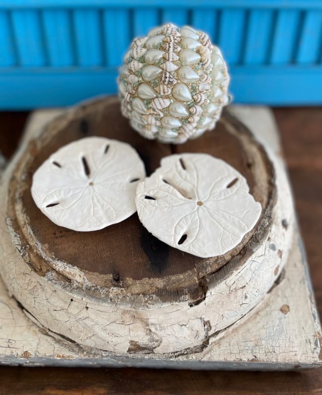 sand dollar with "poinsettia " side up, displayed with a shell ornament