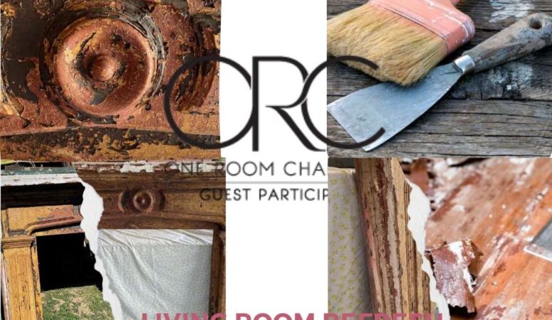 Rustic Inspired Living Room Refresh- ORC Week 7