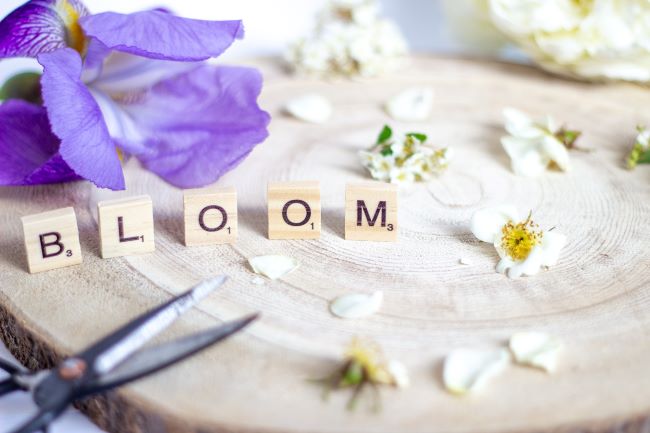 Bloom spelled out in Scrabble tiles