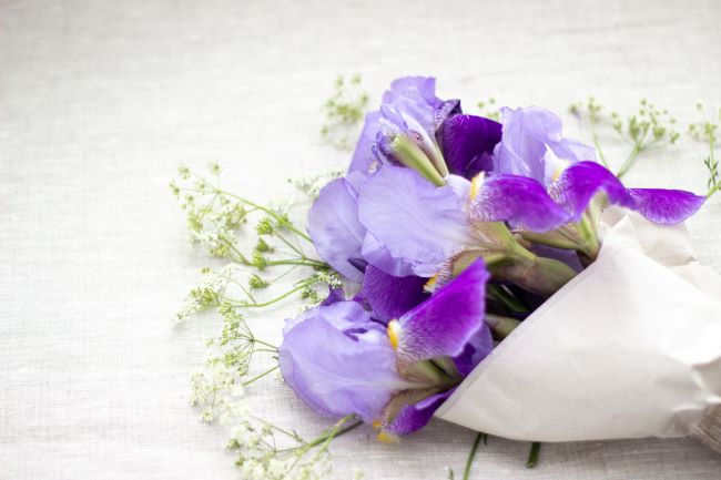 purple iris and babies breath wrapped in white paper