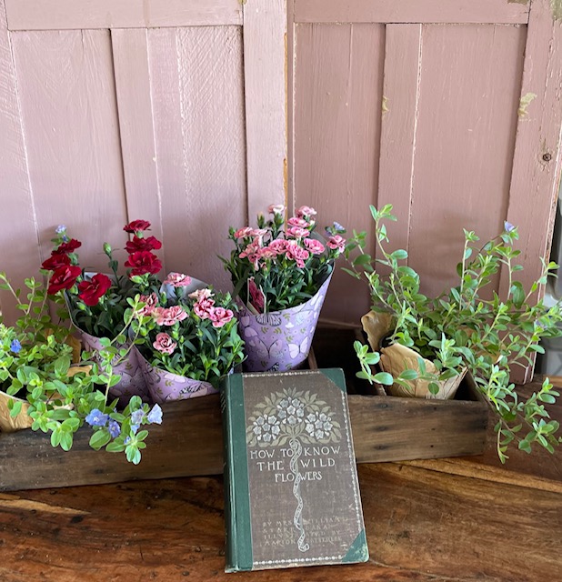 Old book with Dianthus and forget me nots
