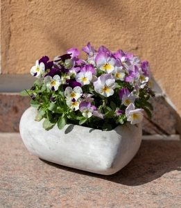 heart shaped planter with pansies