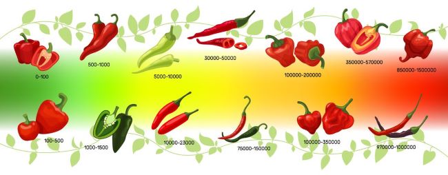 heat scale for chili peppers