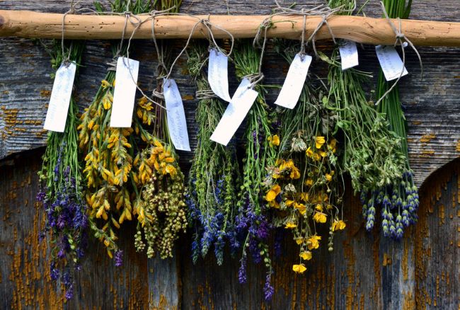display of dried herbs and flowers