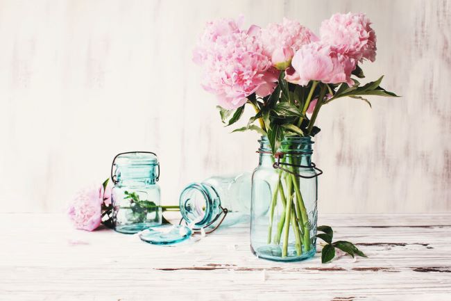 still life with peonies in canning jars