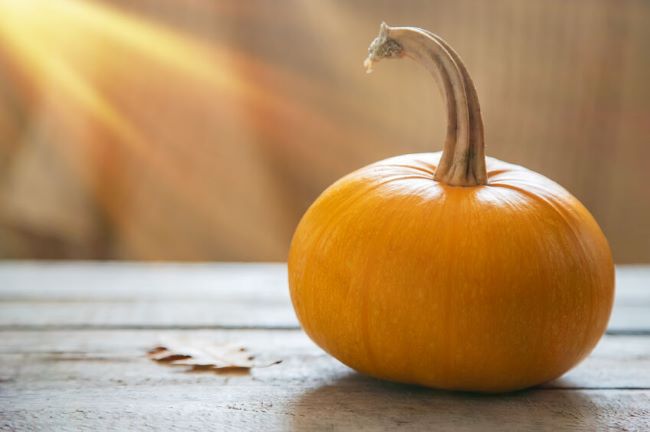 small pumpkin sitting on a wooden table