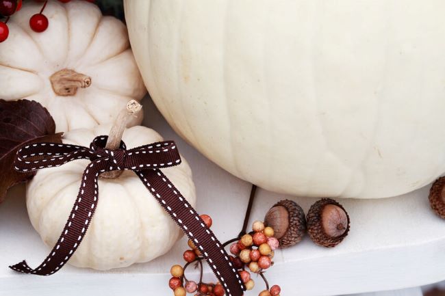 brown bow with white stitching tied around the stem of a small white pumpkin