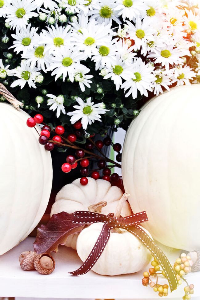 white mums, red berries and whte pumpkins