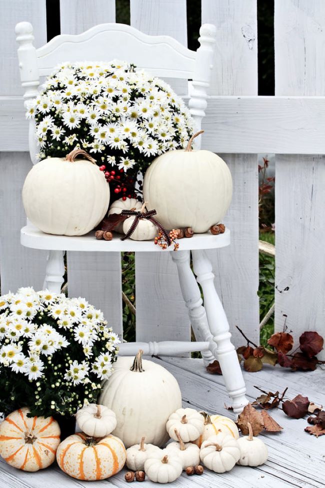 white chair in front of picket fence.