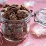 gift jar filled with pumpkin spice pecans