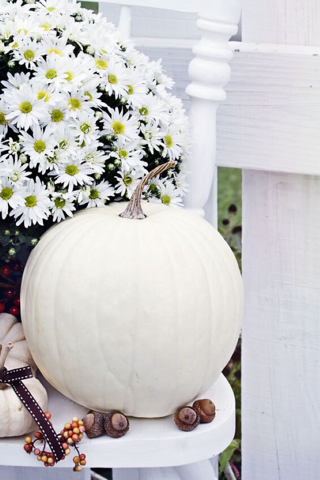 white chair with white mum, acorns & white pumpkin