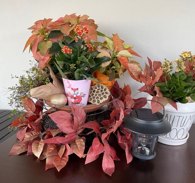 Autumn themed vignette of blooming plants
