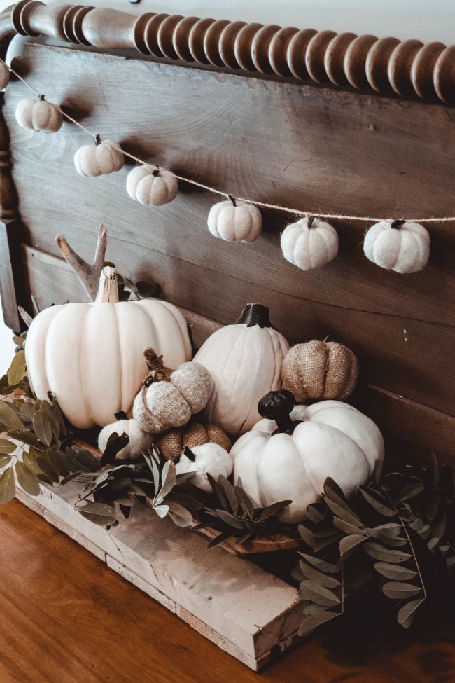 pumpkin garland hung on a wooden backdrop