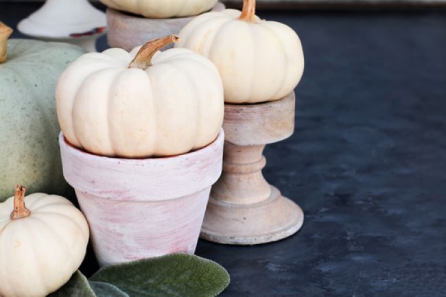 still life with white pumpkins, terra cotta pots and candle holders