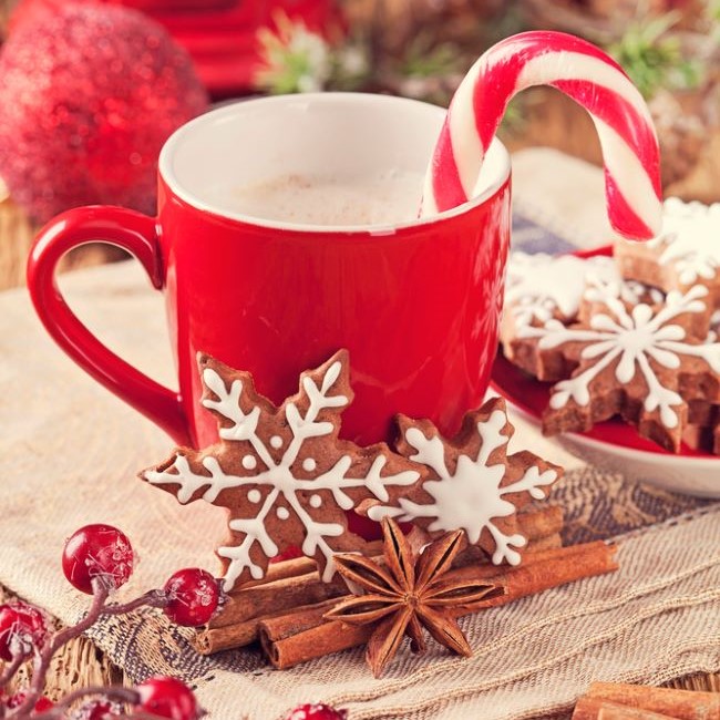 mug of cocoa with candy cane and gingerbread cookies