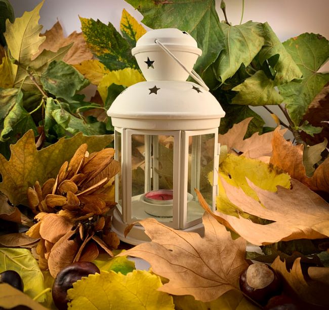 metal lantern surrounded by leaves