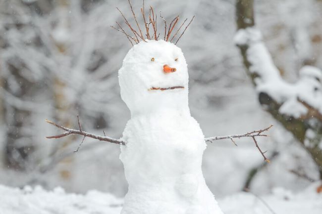 snowman with twigs for hair and a carrot nose